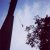 Jauntal Bungy 4ever